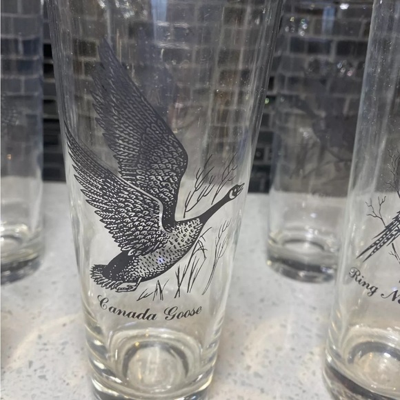 VINTAGE Set of 6 Federal Glass Game Fowl Glasses - Silver Rim MCM Exc. - Picture 3 of 7